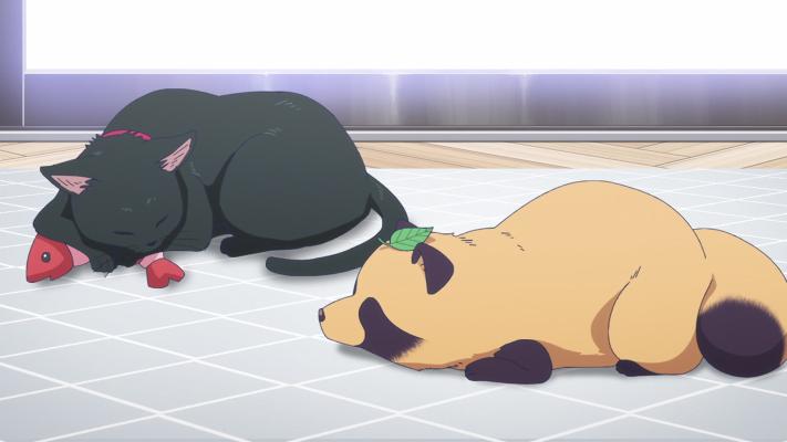 Thumbnail do episódio 6